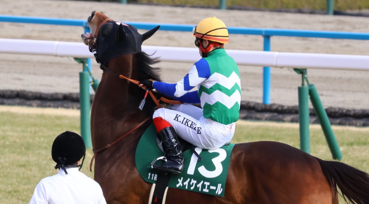 ついに引退。ターフで最も愛された牝馬。皆をトリコにしたその魅力をご 